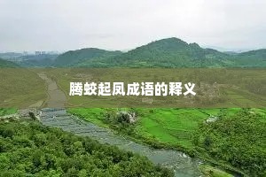 腾蛟起凤成语的释义