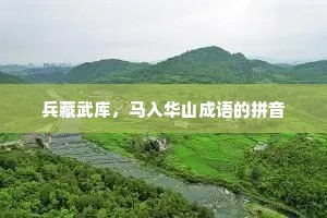 兵藏武库，马入华山成语的拼音