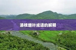 添枝增叶成语的解释