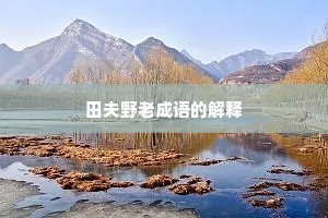 田夫野老成语的解释