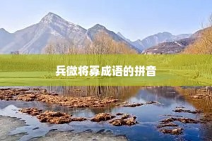 兵微将寡成语的拼音