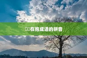 痌瘝在抱成语的拼音 痌瘝在抱成语的拼音