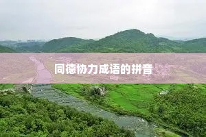 同德协力成语的拼音