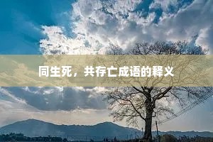 同生死，共存亡成语的释义