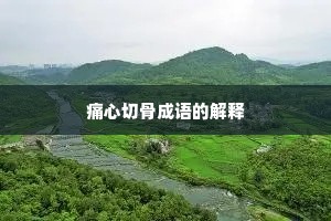 痛心切骨成语的解释 痛心切骨成语的解释