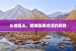 头痛医头，脚痛医脚成语的解释