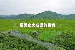 投膏止火成语的拼音 投膏止火成语的拼音