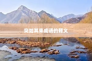 突如其来成语的释义