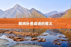 剜肉补疮成语的释义 剜肉补疮成语的释义