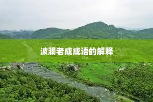 波澜老成成语的解释