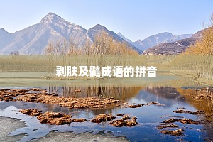 剥肤及髓成语的拼音