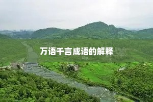 万语千言成语的解释 万语千言成语的解释