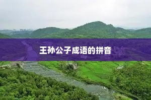王孙公子成语的拼音