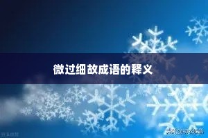 微过细故成语的释义