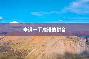 未识一丁成语的拼音