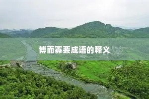 博而寡要成语的释义