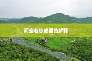 闻宠若惊成语的解释