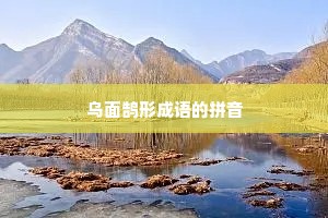 乌面鹄形成语的拼音