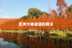 无关大体成语的释义