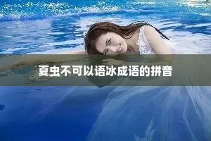 夏虫不可以语冰成语的拼音