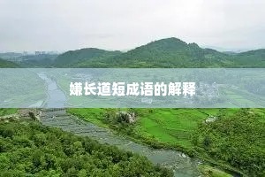 嫌长道短成语的解释