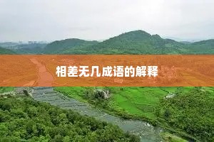 相差无几成语的解释