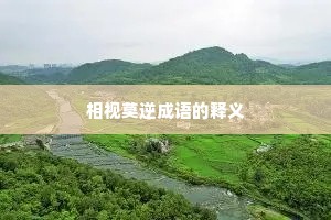 相视莫逆成语的释义