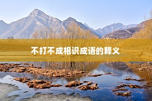 不打不成相识成语的释义