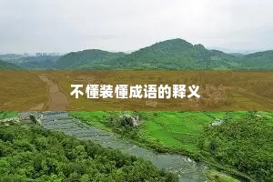 不懂装懂成语的释义