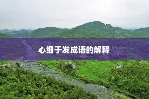 心细于发成语的解释 心细于发成语的解释