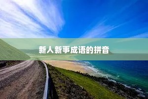 新人新事成语的拼音