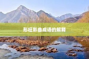 形枉影曲成语的解释