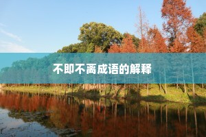 不即不离成语的解释