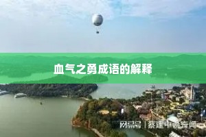 血气之勇成语的解释 血气之勇成语的解释
