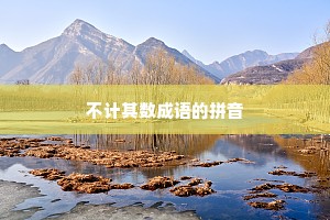 不计其数成语的拼音