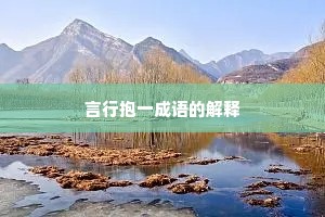 言行抱一成语的解释