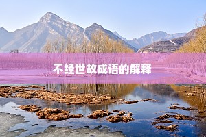 不经世故成语的解释
