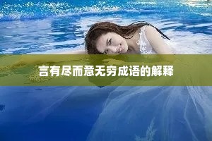 言有尽而意无穷成语的解释 言有尽而意无穷成语的解释