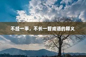 不经一事，不长一智成语的释义