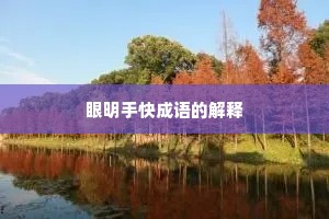 眼明手快成语的解释 眼明手快成语的解释