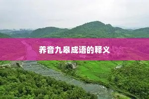 养音九皋成语的释义 养音九皋成语的释义
