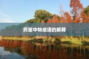 药笼中物成语的解释