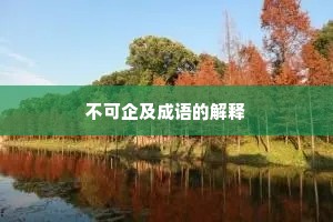 不可企及成语的解释