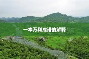 一本万利成语的解释