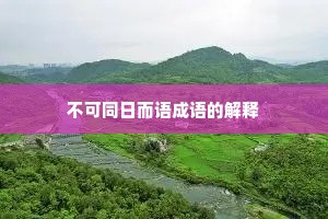不可同日而语成语的解释