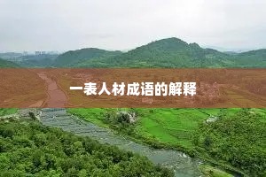 一表人材成语的解释 一表人材成语的解释