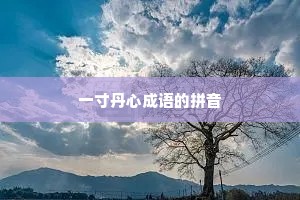 一寸丹心成语的拼音 一寸丹心成语的拼音