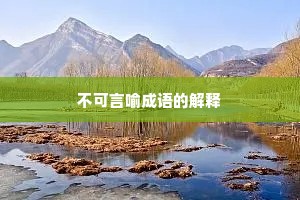 不可言喻成语的解释