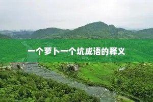 一个萝卜一个坑成语的释义 一个萝卜一个坑成语的释义