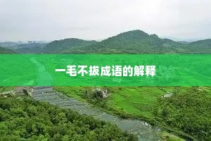 一毛不拔成语的解释 一毛不拔成语的解释